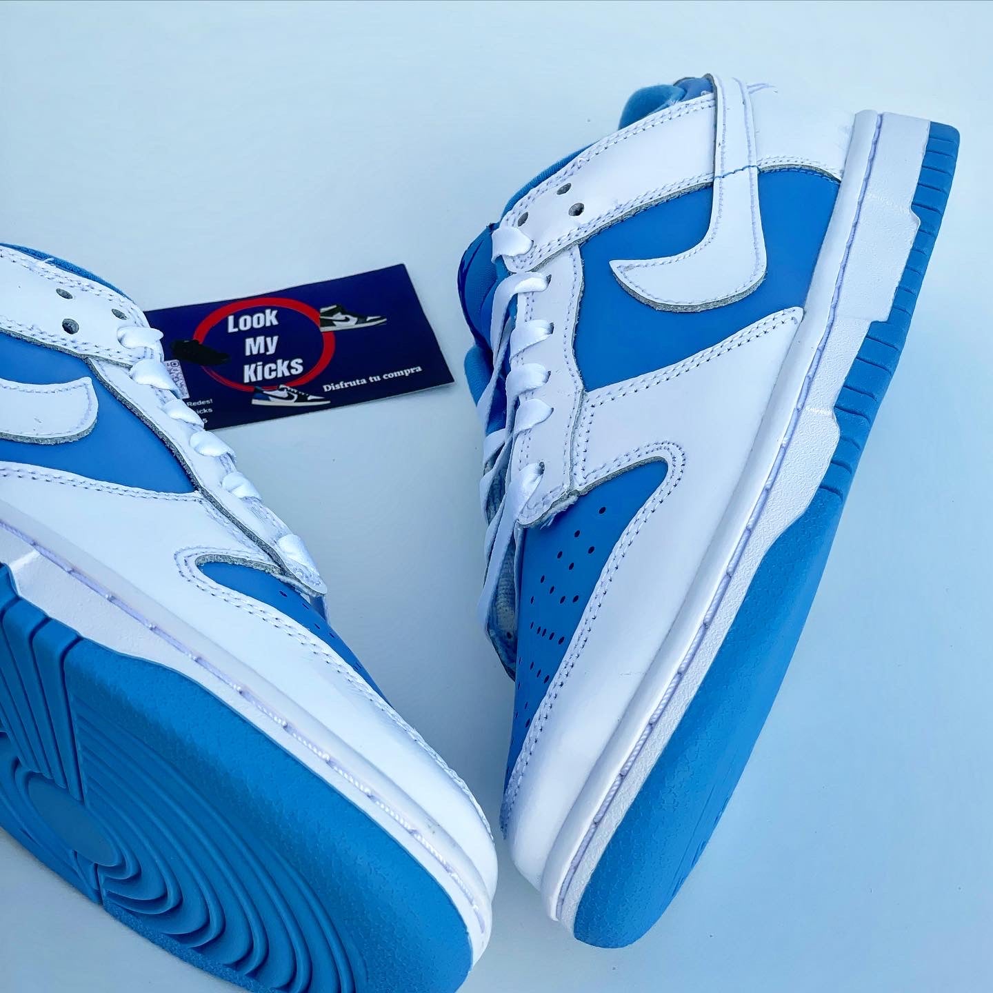 Nike Dunk Low Reverse UNC