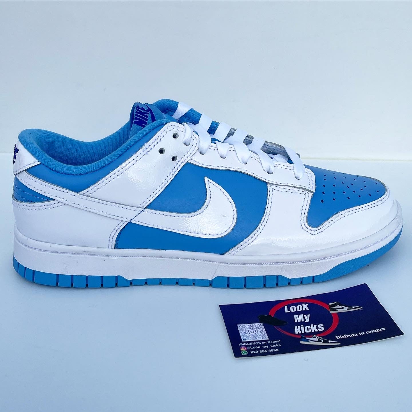 Nike Dunk Low Reverse UNC