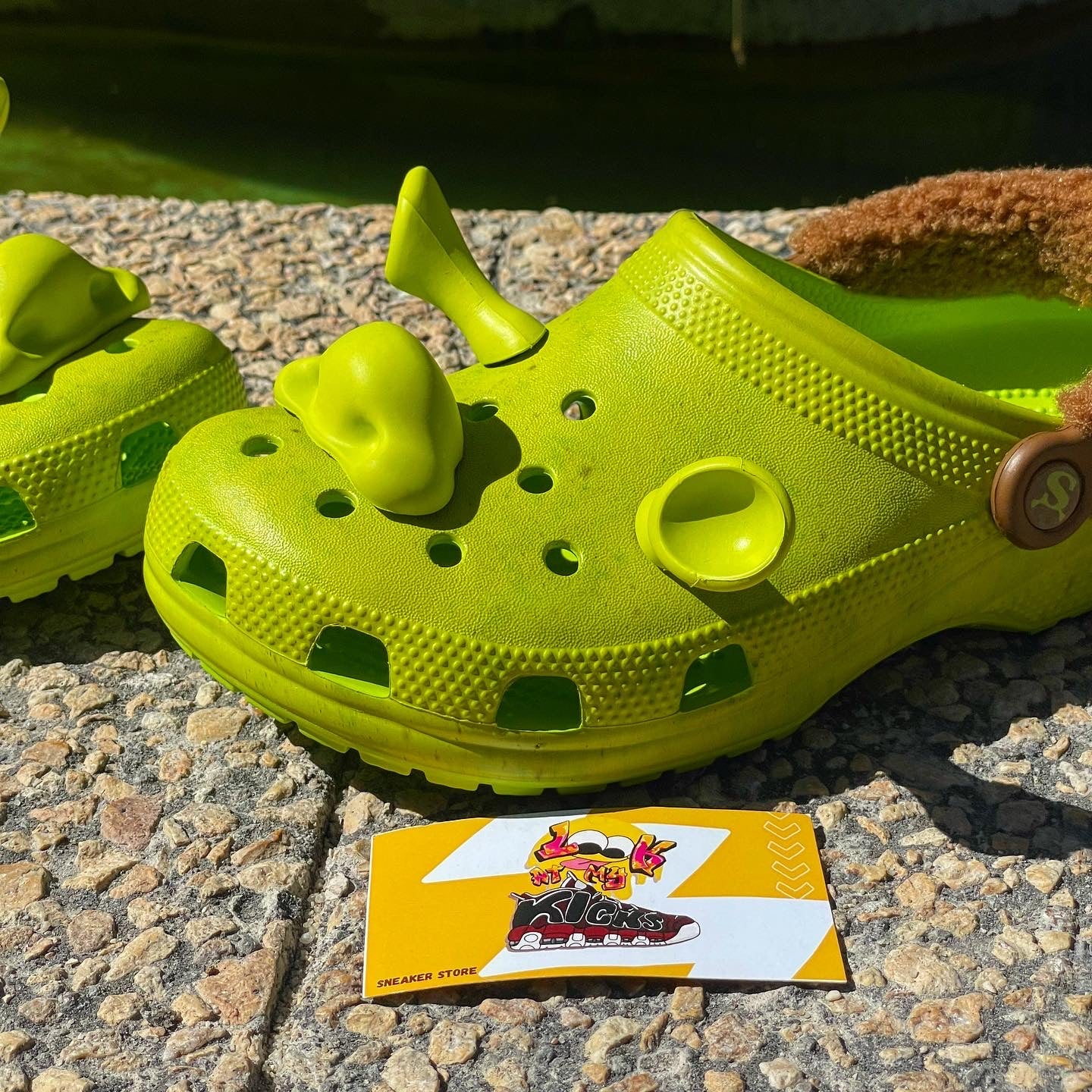 Crocs de Shrek