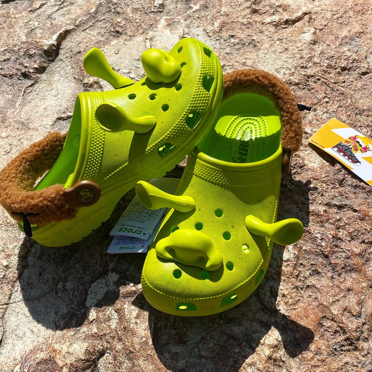 Crocs de Shrek
