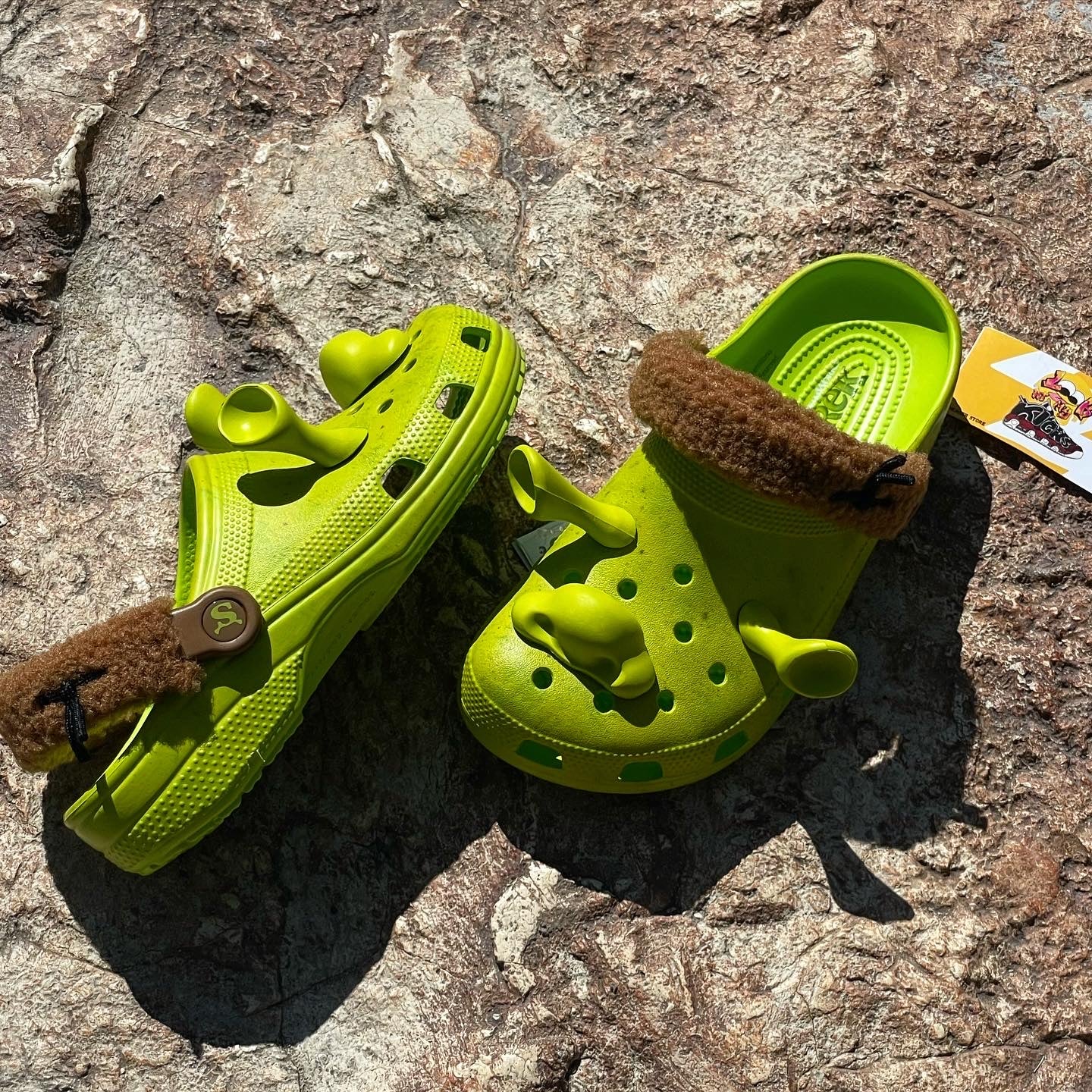 Crocs de Shrek