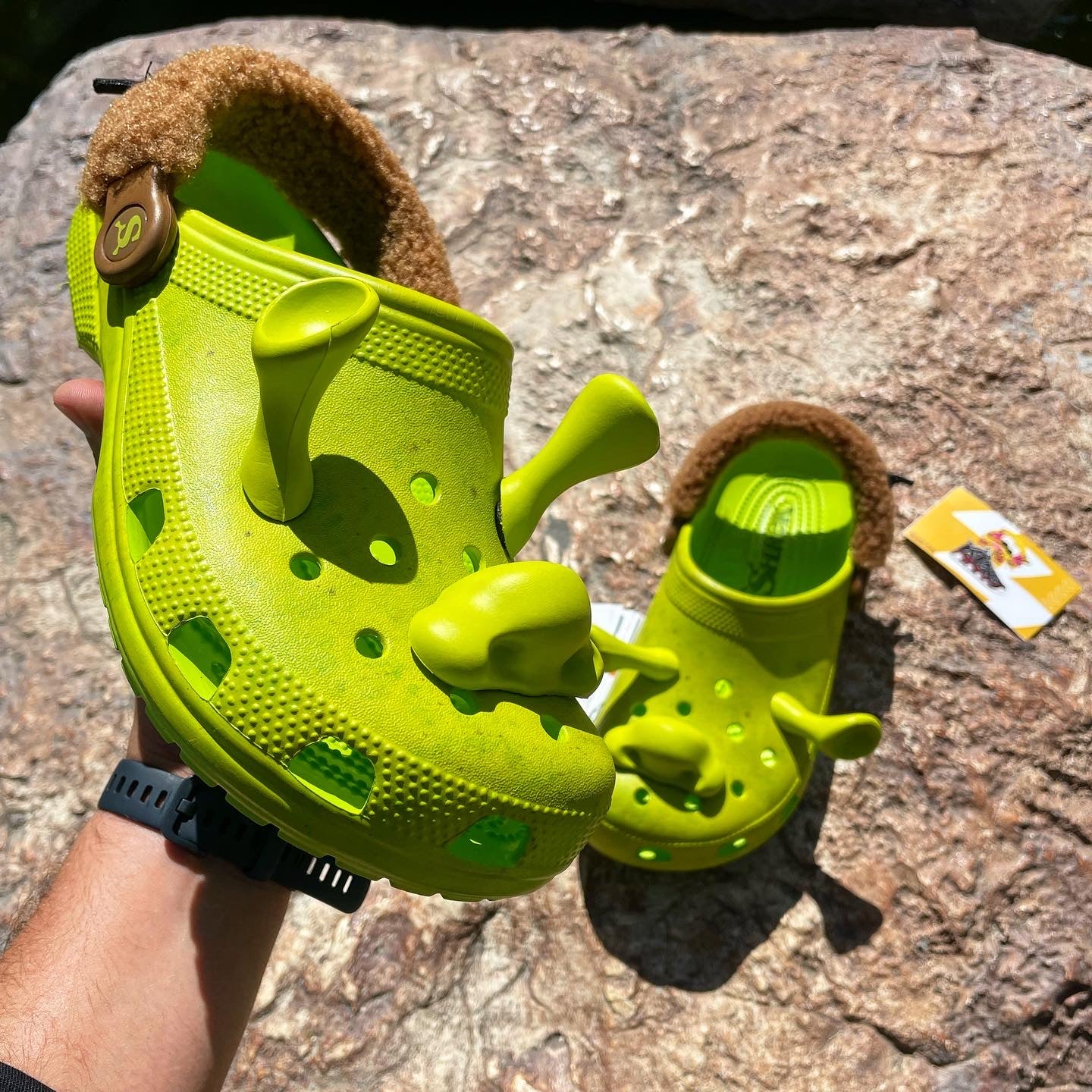 Crocs de Shrek