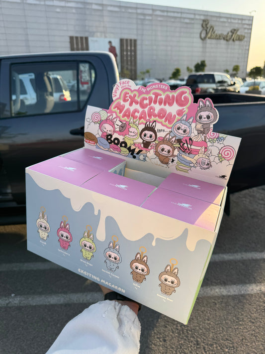 Labubu Exciting Macaron (Blind Box)